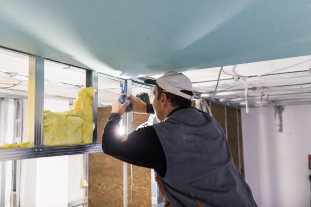 Best Spray Foam Insulation  in Riverwoods, IL