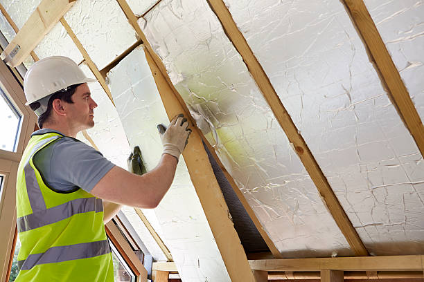 Best Home Insulation Services  in Riverwoods, IL